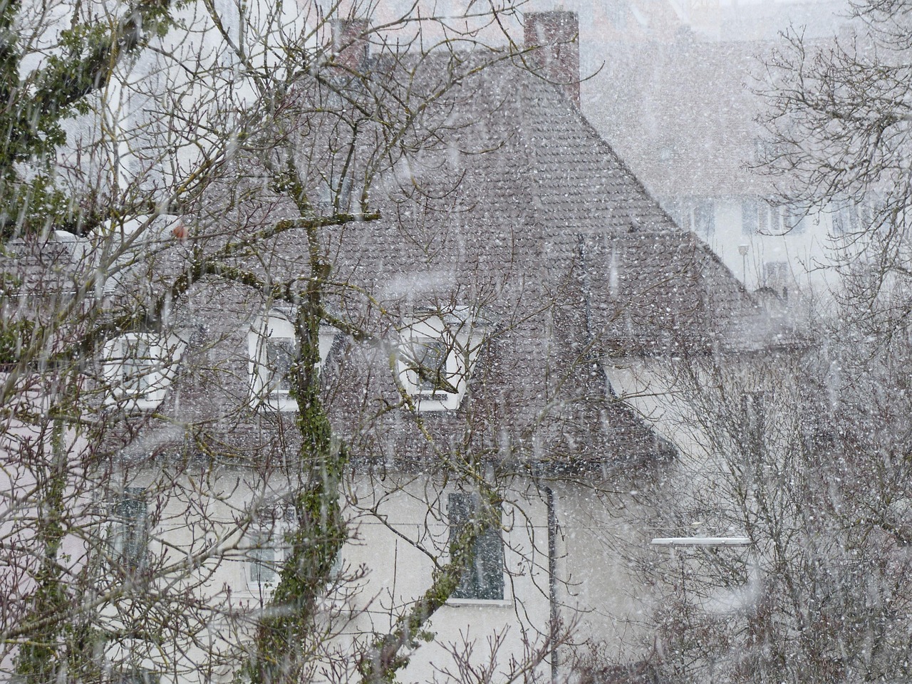 多地遭遇暴雪、大风、冰雹袭击，寒潮返场引发广泛关注